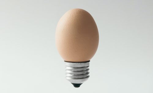 Photo of egg sitting in light bulb.